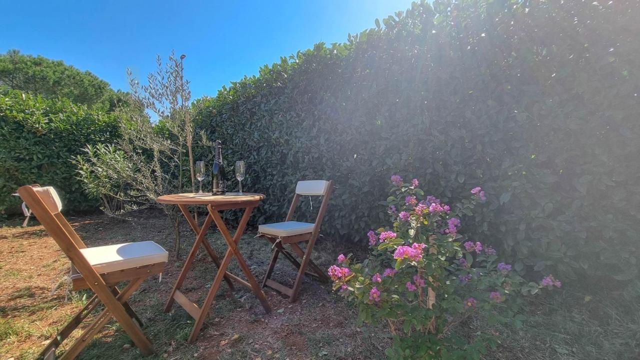 Lea Apartment Novigrad  ภายนอก รูปภาพ